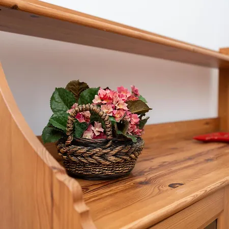 Apartment Alfarrobeira House *